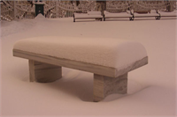 ABD nin Utah Üniversitesi nde fareler üzerinde yapılan deneyde doğal olmayan şeker verilen farelerin yaşam sürelerinin kısaldığı görüldü