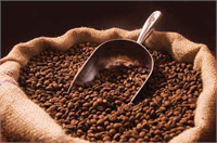 Kahve Kahvenin farklı kanser türlerini diabeti ve alzehimer hastalığını engellemeye büyük bir destek sağladığını belirtmekte yarar var Antioksidan deposu olan kahveleri tüketmeden önce ise organik olduklarından ya da işlenme sırasında çeşitli boya ve kimyasal tatlara maruz kalmadığından emin olmanızda yarar var