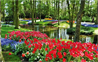 Dünyanın en büyük çiçek bahçesi olan Keukenhof 1949 yılında Amsterdam yakınlarındaki Lisse de kurulmuş Bahçeye başta lale olmak üzere her yıl 7 milyon çiçek soğanı ekiliyor 32 hektarlık bir alanı kaplayan bahçeyi ziyaret edenlerin sayısı ise yıllık olarak bir milyon civarında