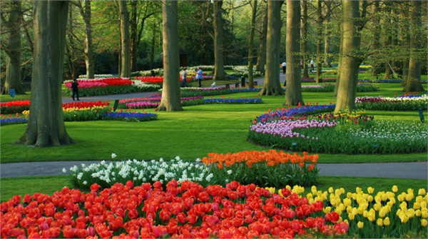 87 değişik türde ağaca bir çok cins laleye ve daha binlerce çiçeğe ev sahipliği yapan Keukenhof Mart sonu ve Mayıs ortası olmak üzere iki aylığına açık Aynı zamanda Hollanda nın en büyük heykel parkına sahip olan Keunkenhof Dünyanın en çok fotograflanan yerlerindendir
