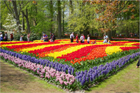 Her bahçeye kendi konseptine has isimlerde verilmiş Arı bahçesi Hollanda İneği Bahçesi Geri Dönüşüm Bahçesi gibi isimlerle pek çok bahçe ve sera bulunuyor