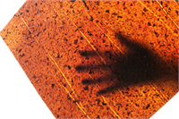 Atık Sebze ve Meyvelerden Deri Üretiliyor