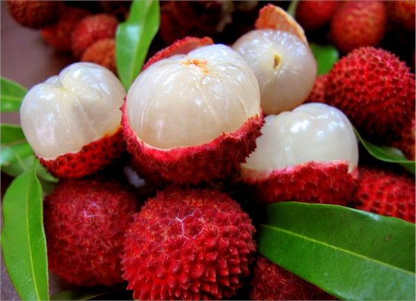 Dünyanın En Romantik Meyvesi Lychee Liçi