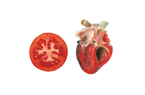 Domates Kalp Domates içerdiği likopen ve C vitaminiyle kalp sağlığına faydalıdır