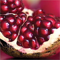 En önem li özel lik le rin den bi ri de kan se re kar şı ko ru yu cu antioksidan bi le şikler içe ri yor ol ma sı