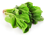 Ispanak A ve C vitaminleri açısından zengindir Soğuk algınlığını önler İçerdiği demir ve potasyum miktarı ile kansızlığa karşı koruyucu bir kalkan görevindedir