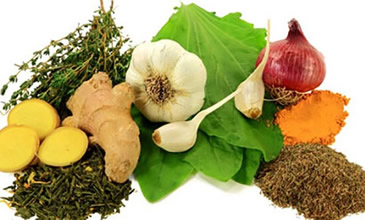 Antibiyotik Etkisiyle Bilinen Yiyecekler