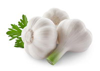 Sarımsak gibi güçlü kokuya sahip besinler içerdikleri antimikrobiyal bir kimyasal olan allisin sayesinde hastalıklarla mücadelede oldukça etkilidir Yapılan bir çalışmada allisin suplemanı alan bireylerde yüzde 46 oranında daha az soğuk algınlığı görüldüğü kaydedilmiştir