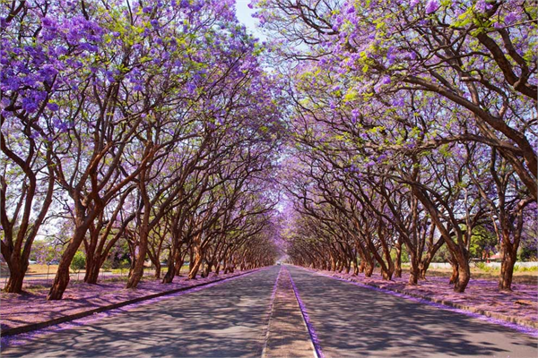 Milyon Yolu Harare Zimbabwe