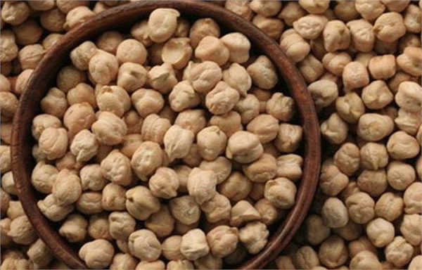 Nohut Kalorisi diğer baklagillere göre daha yüksektir ve proteinin yanı sıra nişasta miktarı fazladır B vitamini başta olmak üzere demir kalsiyum fosfor ve fosfat içerir