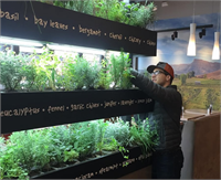 Bu Dolap Sayesinde Kendi Yiyeceğinizi Kendiniz Yetiştirin