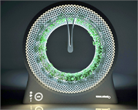 Yeşil Bir Çark Sayesinde Kendi Sebzenizi Kendiniz Yetiştirin