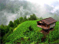 Sonbaharda Karadeniz