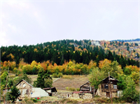 Sonbaharda mutlaka görülmesi gereken Karadeniz eşsiz doğasını bütün cömertliğiyle bizlere sunuyor