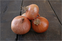 Doktor böyle olabilmesi için aileye herkesten farklı ne yaptıklarını sorar ve çiftçinin hanımı odaya bir tabak içine soyulmamış bir soğan koyduklarını söyler Doktor buna inanamaz ve bu soğanlardan birini alarak laboratuvarda mikroskop altına koyarak inceler ve soğanın içinde grip virüsünü görür Soğan açıkça grip bakterisini absorbe etmiştir ve bu sayede de aile sağlıklı kalmıştır