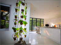 Yaklaşık iki metre uzunluğundaki Besin Kulesi küçük alanlara rahatlıkla sığabiliyor Bu dikey çiftlikler minerallerin ve suyun bitki saksılarının altına iletilmesiyle bitkilerin kolaylıkla büyümesine olanak sağlıyor Marul pazı ıspanak nane maydanoz reyhan ve kekik gibi ürünler sürekli olarak yetiştirilebiliyor