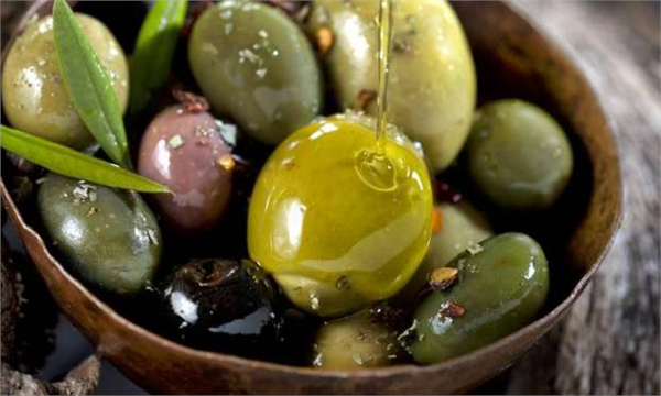 Hipokrates dahi ülseri kolerayı ve kas ağrılarını tedavi etmek için zeytinyağını psikolojik bozukluğu olan hastalara da taze yeşil zeytini önerirdi