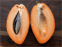 Santa Domingo Şeftalisi Mamey Kısaca mamey olarak bilinir Güney Amerika anavatanıdır ve her mevsim yeşil kalabilen bir ağacı bulunmaktadır Florida ve Hawaii de de bulunur Aslında görünüş olarak çileğe benzeyen meyve 40 santime kadar büyüyebilir Kalın kabuğunun içinde yumuşak turuncu bir kısmı bulunurken her meyve bir tek çekirdek taşır Meyveleri tatlı ve güzel kokuludur