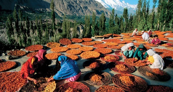 Hunza Türkleri Hun Türklerinden geliyor Pakistan ve Hindistan sınırında yaşayan bu insanların çok ilginç bir özelliği var Pakistan ın Keşmir kentinde yakınlarında yaşayan Hunza Türkleri ortalama 120 yıl yaşıyor