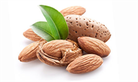 Badem Kalp dostu badem bağışıklığı artırıcı bir antioksidan olan E vitaminini içerir solunum yolu enfeksiyonları soğuk algınlığı gibi rahatsızlıklara karşı savaşır