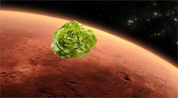 Mars ve diğer gezegenlere yapılacak derin uzay görevlerinde astronotların gıda ihtiyacını karşılama programı kapsamında Uluslararası Uzay İstasyonu nda yetiştirilen uzay sebzeleri ilk kez geçtiğimiz ağustos ayında denenmişti NASA astronotları Scott Kelly ve Kjell Lindgren ile Japon astronot Kimiya Yui yerçekimsiz ortamda yetiştirilen marulu tadan ilk insanlar olmuştu