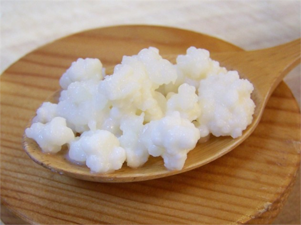 Kefir Yoğurta çok benzeyen kefir probiyotikler açısından yoğurttan bile zengin 10 ile 20 farklı çeşit bakteriyi içinde bulunduran kefiri evde yapmak kefir mayaları sayesinde mümkün olabiliyor Ayrıca laktoz problemi yaşayanlarında tercih ettiği bir besin