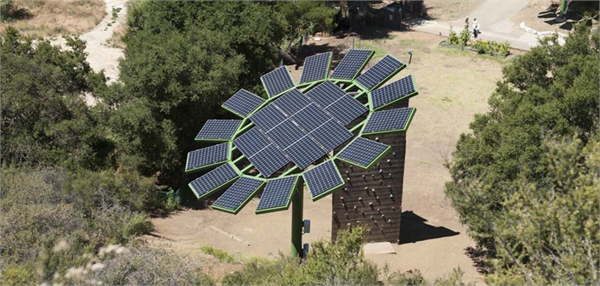 Güneş Çiçeği nin ürettiği elektrik günlük 260 kWh bu da yaklaşık olarak bir okulun günlük enerji ihtiyacının yüzde 75 90 ını karşılamaktadır Ancak güneşli ve sıcak yaz günlerinde bunun yüzde 100 e ulaşacağı tahmin ediliyor Ortalama bir ailenin günlük yaklaşık 29 kWh elektrik tükettiği göz önüne alınırsa bu çiçeklerden sadece bir tanesi bunu karşılamaya yetecek