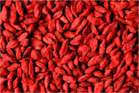 Kansere Karşı Kalkan Görevi Görür Germanium kanser önleyi bir maddedir Bu maddeyi içeren tek bitki ise goji berrydir İçerisindeki özel polisakkaritler ve antioksidan yapılar kansere yol açabilecek genetik değişimlerin oluşmasını önler Vücudu zehirden arındırmakla görevlidir Bu sebeple de oldukça önemlidir