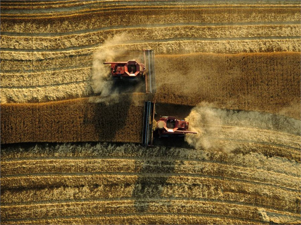 FAO nun çağrısı Suriye deki insani çalışmalara destek olmak için seferber olan İngiltere Almanya Norveç Kuveyt ve Birleşmiş Milletler tarafından 4 Şubat 2016 tarihinde düzenlenen Uluslararası Bağış Konferansından hemen önce geldi