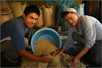 Ulusal gıda üretimi düşerken Suriye deki gıda fiyatlarının hızla yükseldiğine dikkat çeken Graziano da Silva son 18 ayda buğday ununun fiyatının 300 pirincin fiyatının ise 650 arttığını ifade etti Suriye nin mümkün olduğunca fazla gıda üretmesi gerektiğini tek başına yardımların ülkeyi beslemeye yetmeyeceğini belirten Graziano da Silva Suriye deki çiftçilere yardımcı olmak için tarıma destek fonlarının oluşturulması gerektiğini kaydetti