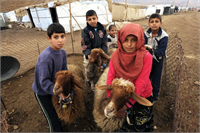 Teknik İşbirliğinden Sorumlu FAO Genel Direktör Yardımcısı Laurent Thomas tarımın Suriye nin temel geçim kaynağı olduğunu ve mevcut ülke nüfusunun ve gelecek nesillerin beslenmesi için tarıma ihtiyaç duyulduğunu belirtti