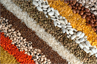 Bakliyat ürünleri Eğer enerji ve proteine ihtiyacınız varsa bakliyatlar tam da ihtiyacınız olan besinlerdir Vücudunuzun sağlıklı hücreleri üretmesini sağlarlar ve detoks sürecinde de oldukça etkilidirler