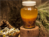 Halis zeytinyağı içerisinde yaklaşık 6 ay bekletilen kudret narı ise her sabah bir çorba kaşığı tabağa konularak 1 çorba kaşığı süzme balla karıştırılarak tüketilebiliyor