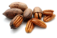 Pikan Cevizi 19 civarı vitamin ve mineral içeren besleyici değeri son derece yüksek bir meyvedir ve Vitamin A E ve B kompleksler in yanında mükemmel bir çinko kalsiyum magnezyum selenyum demir ve manganez kaynağıdır Sindirimi çok kolay bir protein kaynağıdır ve çok hızlı bir şekilde vücut tarafından sindirilir