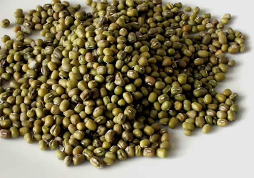 Maş fasulyesi Protein lif ve B vitaminleri deposudur Hücre yenileme özelliğine sahiptir