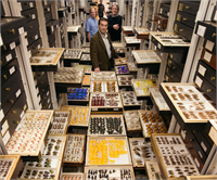 Doğa Tarihi Müzesinden Şaşırtan Bilgi ve Kareler