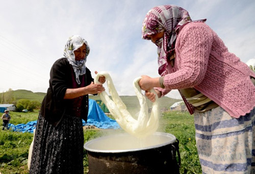 İçerisinde kalan suyun ayrılması için oklavalara sarılıp 2 saat bekletilmesinin ardından çeçil peyniri tüketime sunuluyor