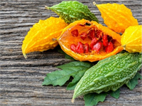 Hariçten Kullanımlar İçin Yanıklar kesikler ve yaralar için kullanılıyor Kadınların vajina yaraları için de kullandığı zeytinyağında bekletilmiş kudret narı açık yaralar için ise en çabuk iyileştirici olarak biliniyor Egzama yara gibi cilt hastalıklarında da iyileştirici özelliğe sahiptir