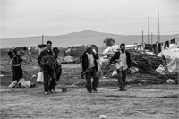 Güneşin batışına kadar tarlada çalışan tarım işçileri çadır alanına dönerlerken yüzlerindeki rahatlama görülüyor Birçoğunun sosyal güvencesi bulunmuyor Fotoğraf Aytaç Aykut