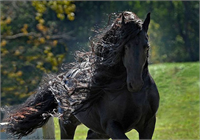 Dünyanın En Yakışıklısı