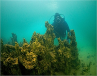 Van Gölü nde yeni mikrobiyalit alanları bulundu