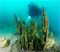 Van Gölü nde yeni mikrobiyalit alanları bulundu