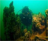 Van Gölü nde Yeni Mikrobiyalit Alanları Bulundu