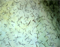 Üretim merkezinden kareler