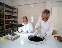 Üretim merkezinden kareler