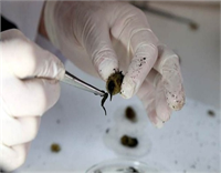 Üretim merkezinden kareler