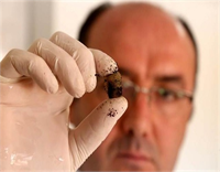 Tıbbi sülüklerin kimya biyoloji veteriner hekimlik tıp eczacılık alanlarında kullanıldığını anlatan Ceylan şunları kaydetti Örneğin ABD de sülük plastik cerrahide kullanılıyor Kullanım alanının yoğunluğundan dolayı maddi değeri yüksek Kilogramı Avrupa ve Amerika ya bin dolardan ihraç edilebiliyor Zaman zaman Amerika da sülüğün tanesinin 18 dolardan 51 TL alıcı bulduğunu biliyoruz Bizim yapmak istediğimiz de müteşebbislere sülük üretiminde yol göstericilik yaparak ülkenin maddi gelirine katkı sağlamaktır