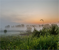 Ramazan da şebnem şenliği