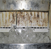 Düzenli denetimi yapılmayan buz makineleri