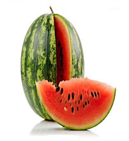 Kalp sağlığını olumlu etkileyen doymamış yağ asitlerini içerir 24 karpuz çekirdeği yaklaşık 1 gram protein içerir